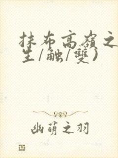 抹布高岭之花(生/触/双)