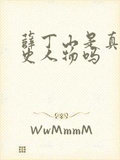 薛丁山是真实历史人物吗