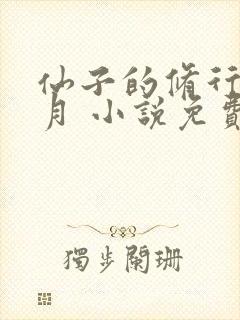 仙子的修行萧曦月 小说免费阅读