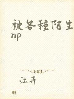 被各种陌生人 np封面