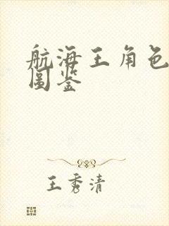 航海王角色大全图鉴封面