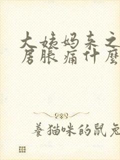 大姨妈来之前乳房胀痛什么原因