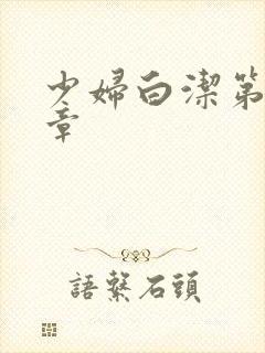 少妇白洁第十八章