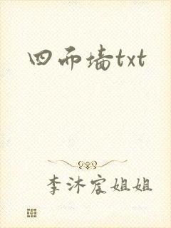 四面墙txt