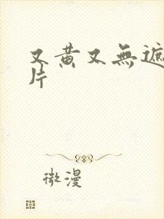 又黄又无遮挡毛片