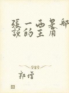 张一西是哪部小说的主角封面