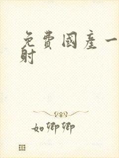 免费国产一级内射