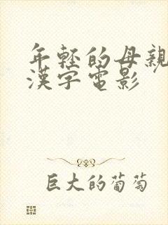 年轻的母亲韩语汉字电影