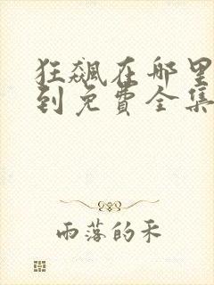 狂飙在哪里能看到免费全集电视剧封面