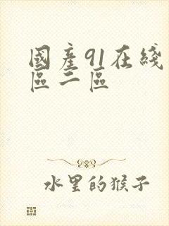 国产91在线一区二区