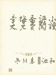 章梅乔梁小说全文免费阅读