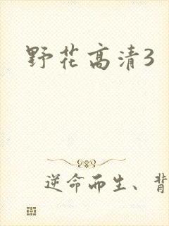野花高清3封面