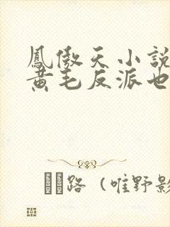 凤傲天小说里的黄毛反派也想幸福结局