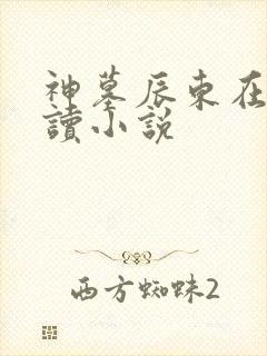 神墓辰东在线阅读小说