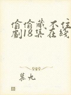 偷偷藏不住广播剧18集在线收听免费