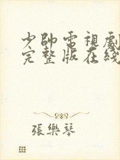 少帅电视剧免费完整版在线看高清