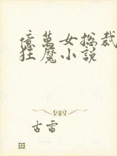 亿万女总裁护夫狂魔小说