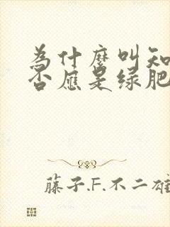 为什么叫知否知否应是绿肥红瘦封面