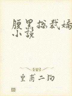 腹黑总裁娇宠妻小说