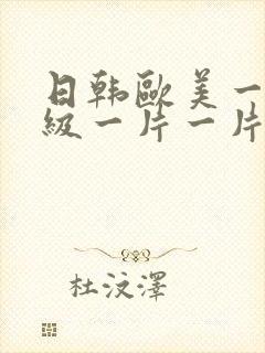 日韩欧美一级一级一片一片封面