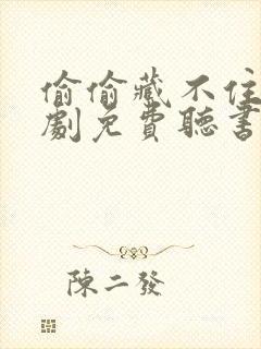 偷偷藏不住广播剧免费听书