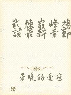 武炼巅峰杨开小说最新章节