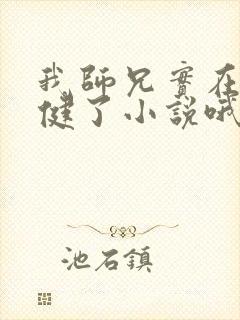 我师兄实在太稳健了小说哦封面