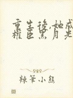 重生后,她成了权臣黑月光无弹窗封面