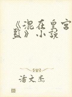 《混在皇宫假太监》小说