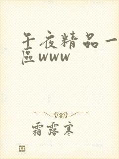 午夜精品一区二区www