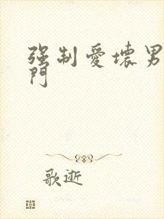 强制爱坏男送上门封面