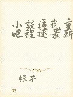 小说逼我重生是吧程逐最新更新封面