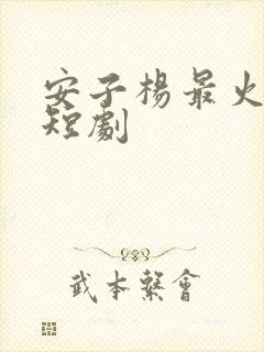 安子杨最火十部短剧