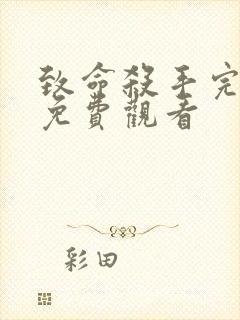 致命杀手完整版免费观看封面