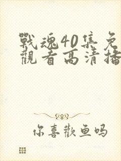 战魂40集免费观看高清播放