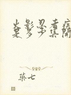 火影忍者疾风传是多少集开始