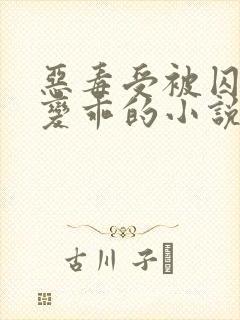 恶毒受被囚禁后变乖的小说txt