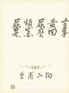 尿频尿黄有异味是怎么回事