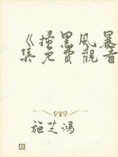 《扫黑风暴》全集免费观看