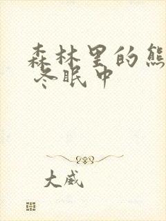 森林里的熊先生 冬眠中封面