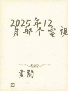 2025年12月哪个电视台播放沉默的荣耀