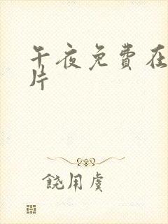 午夜免费在线毛片