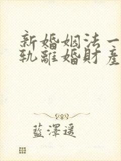 新婚姻法一方出轨离婚财产分割