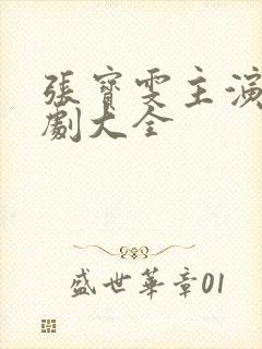 张宝雯主演电视剧大全