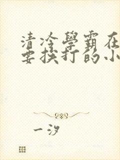 清冷学霸在家还要挨打的小说