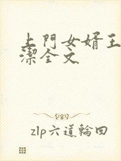 上门女婿王浩李洁全文