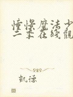 憧憬魔法少女第二季在线观看封面