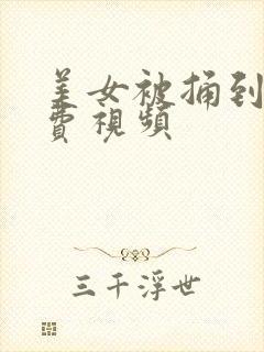 美女被捅到爽免费视频