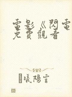 电影《闪电战》免费观看