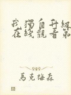 我独自升级动漫在线观看第二季